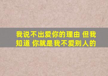 我说不出爱你的理由 但我知道 你就是我不爱别人的